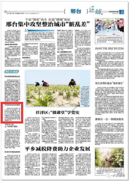 美丽的铅笔裙