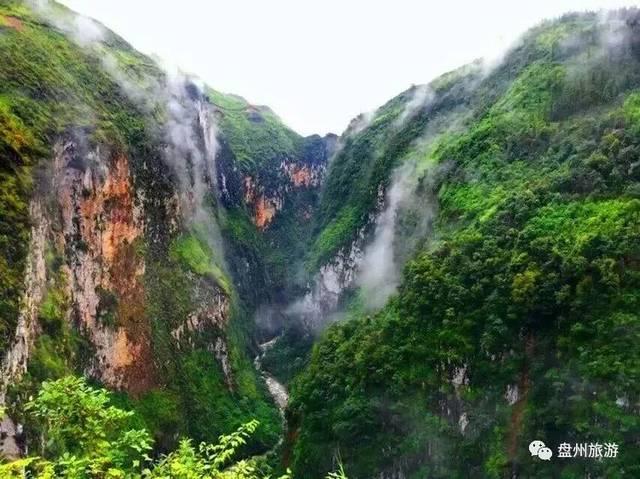 救援蓝色小兔